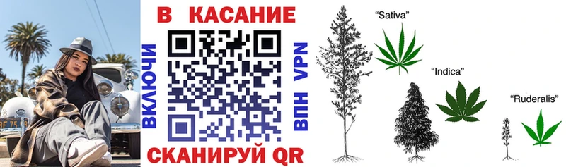 Где купить наркоту Ряжск Конопля  Псилоцибиновые грибы  ГАШ  МЕТАДОН  Кокаин 