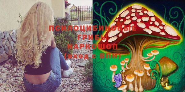apvp Пересвет