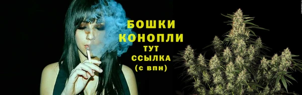 apvp Пересвет